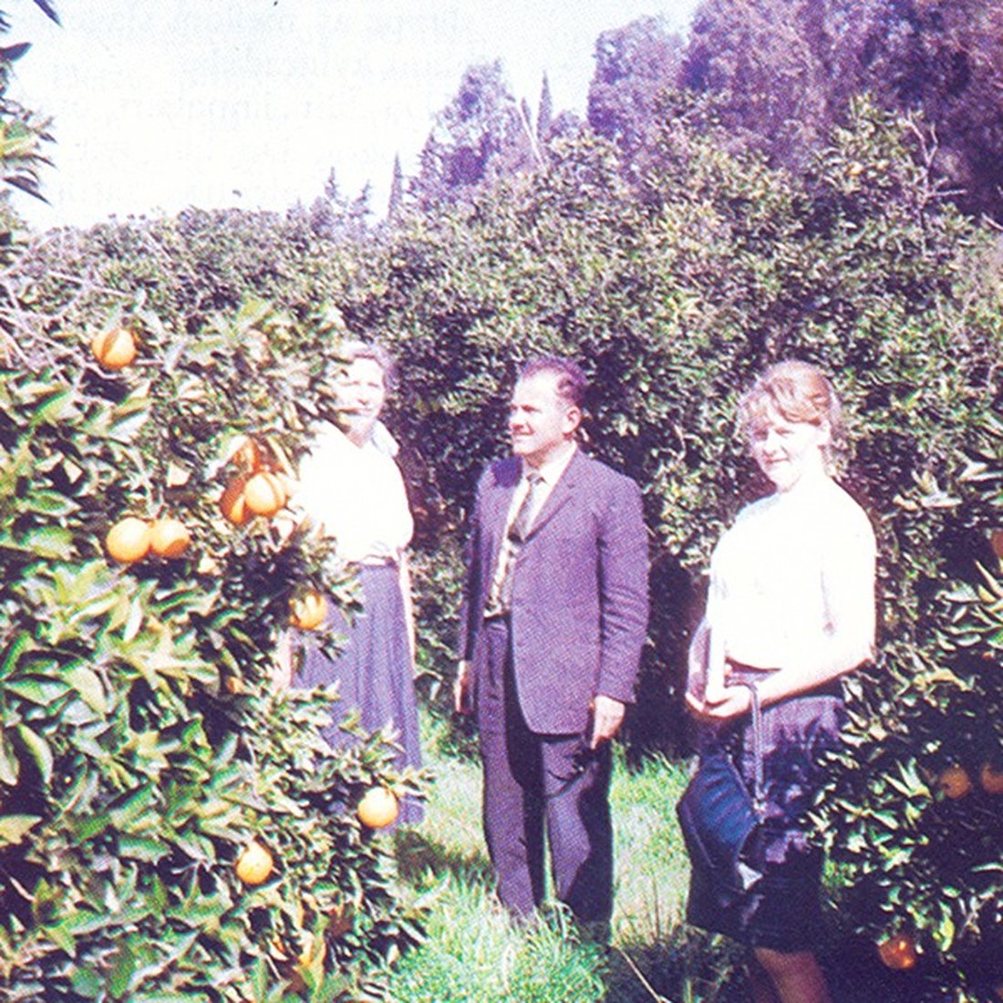 appelsiner
