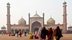 India: Tro under press